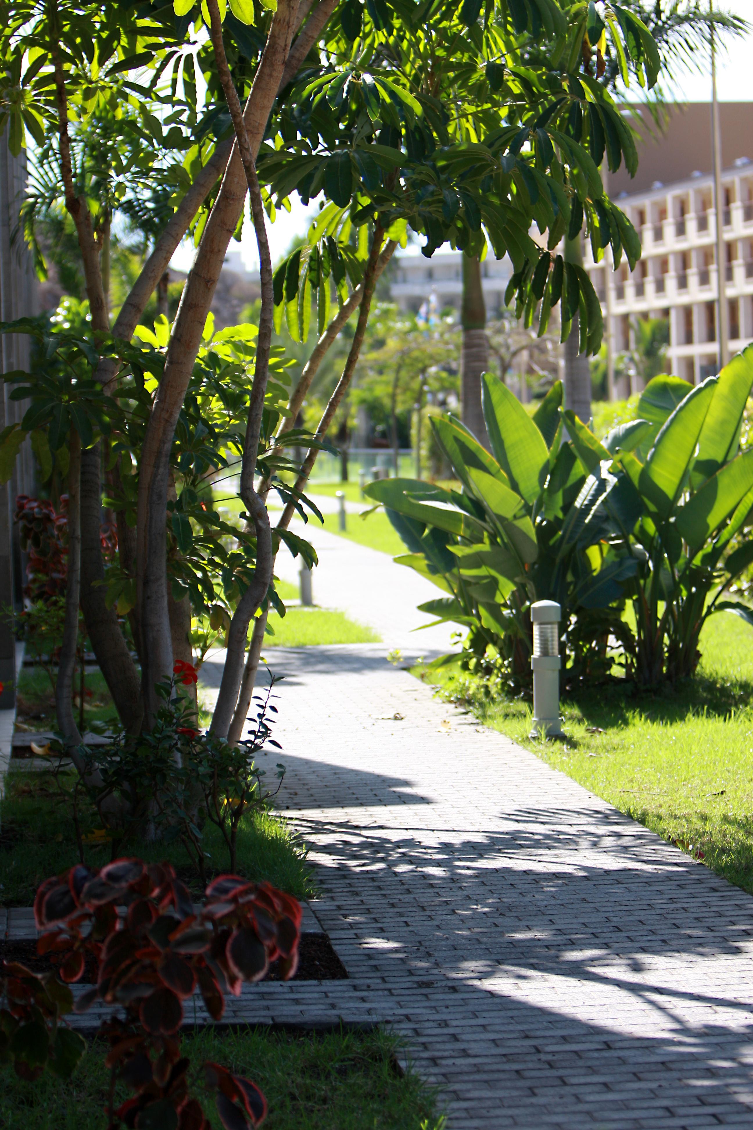 Hotel Livvo Costa Taurito & Aquapark (Adults Only) Exteriér fotografie